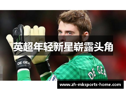 英超年轻新星崭露头角